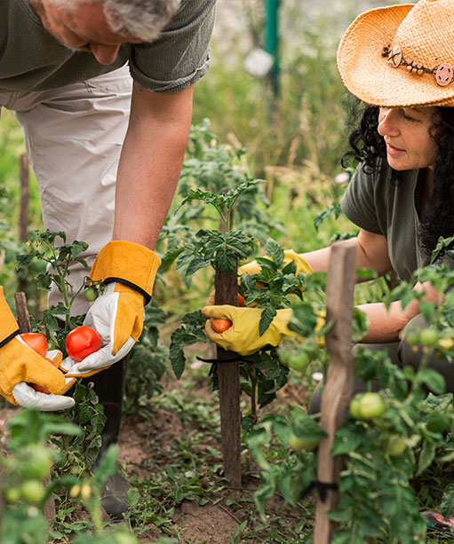 Trabajo y proyectos de emprendimiento